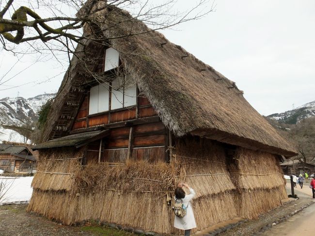 北陸新幹線で行く母娘の北陸旅行。ここでのお話は富山県編です。<br /><br />石川県、加賀温泉郷に宿泊して翌朝からバスで富山県の五箇山へ向かいました。<br /><br />五箇山は世界遺産の合掌集落に行ってきました～(*^▽^*)<br /><br />４月なのに雪がたくさん残っていて驚きました。<br /><br />ここにはいつ、桜が咲くのでしょう？<br /><br />いつ春は来るのでしょうか。