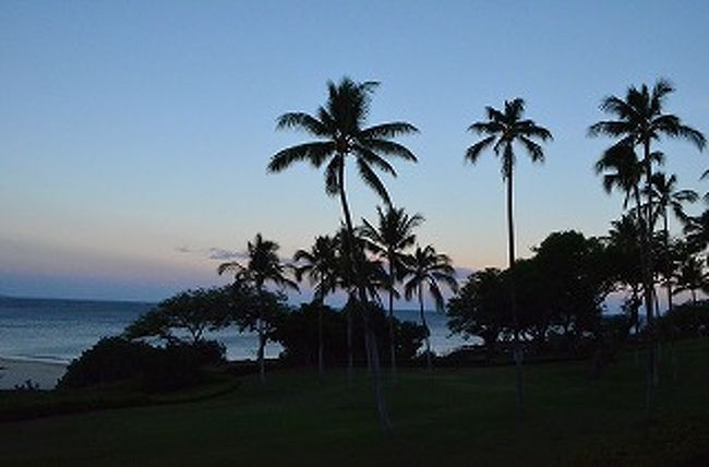 ハワイ全体では３体、そのうちの２体のカメハメハ大王像がハワイ島にあると知り、ハワイ島北端の町“HAWI”経由、カメハメハ大王像のある“KAPAAU”、そして“Pololu Valley”展望台まで足をのばすことにしました。第５日目です。