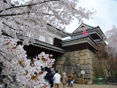 上田城千本桜まつり～柳町散策～夜桜～今シーズン最後のスキーの巻き ①