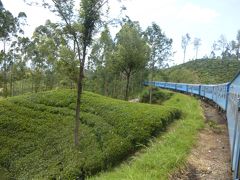 スリランカ、ハード女子旅(2015年)11～紅茶列車は、ヌワラエリヤへ