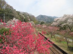 初めての　四万温泉、草津温泉