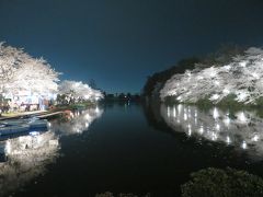 善光寺の御開帳と桜めぐり<1>ちょっと早かった高島公園＆満開だった高田夜桜