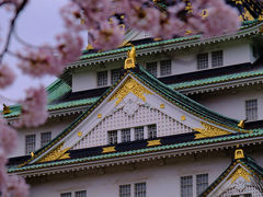 桜の大阪城