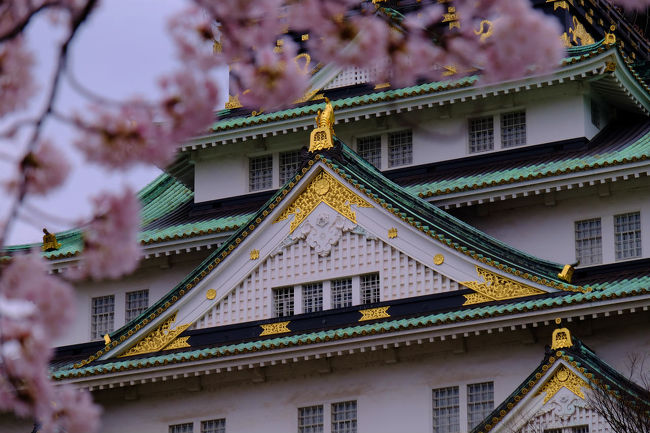 ツアーは最後の予定地　大阪城へ<br /><br />　やく一時間の自由行動　お城へ行く人　桜の咲く　西の丸庭園へ行く人<br /><br />　皆さん　お城へ向かうようです　私たちは　西の丸の庭園へ<br /><br />大阪城パークセンター<br />http://www.osakacastle.net/park/