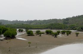 2015.3宮古島・沖縄旅行11-西平安名崎，池間島灯台，池間大橋，島尻マングローブ林