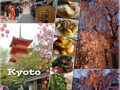 春の京都、ぶらぶら歩き！-イカリヤ食堂でおいしいランチ、旬菜いまりで京のおばんざいを堪能しました-