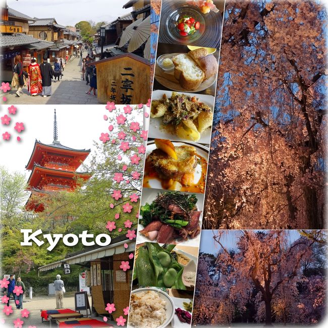 やっと時間かとれたので、春の京都に出かけました。<br />ソメイヨシノの満開時期からは少し時期がずれてしまいましたが、綺麗な桜、たくさんみられました。