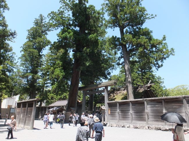 いつか行ってみたかった伊勢神宮。<br />２０年に一度の式年遷宮にあたって初のお伊勢参りに行ってきました。<br />近鉄の「ご朱印巡りきっぷ」というお得な切符を夫が発見。<br />この切符を使って、２日間で伊勢神宮の正宮（内宮・外宮）と１４の別宮全てを参拝することにしました。<br />１日目は、瀧原宮（たきはらのみや）、瀧原竝宮（たきはらならびのみや）、外宮（豊受大神宮）、多賀宮（たかのみや）、土宮（つちのみや）、風宮（かぜのみや）、月夜見宮（つきよみのみや）、倭姫宮（やまとひめのみや）にお参りしました。