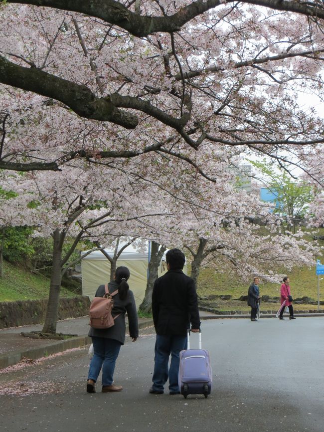 富士宮でのお墓参りが終わり<br />ホテルアンビエント伊豆高原のコテージに宿泊<br />2日目です。