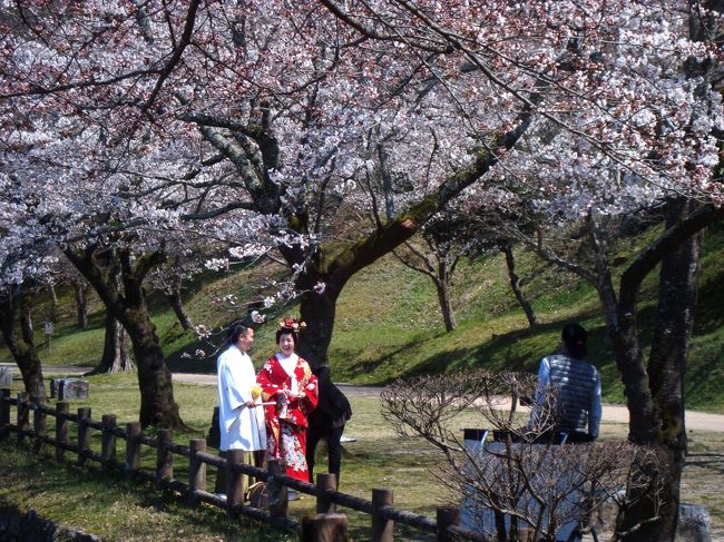 4月24日、嬉しいニュースが飛び込んできました。<br />全国各地の有形無形の文化財「日本遺産」認定の中に、人吉球磨の名前が入っておりました。<br /><br />相良700年が生んだ保守と進取の文化<br />〜日本でもっとも豊かな隠れ里ー人吉球磨〜<br /><br />おめでとうございます。<br /><br /><br />◇◆<br />曾祖母の50回忌法要を終え、もう1日滞在します。<br /><br />今日はもう一つの人吉球磨の桜の名所、人吉城址にレンタカーを走らせます。