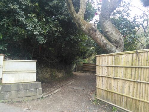 未使用 昭和10年頃◆北大路 魯山人 星岡窯 黄瀬戸『梅の枝と梅の花』ぐい呑み □希少 未使用 1935年頃（昭和10年）8万購入！北大路 魯山人 星岡窯 黄