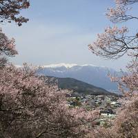 桜に魅かれて善光寺・高遠城と松本の旅(1日目）