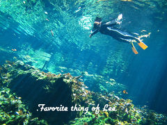 ★DCL＆カンクン★＊５８＊CANCUN⑫Queen Angelツアー＊グランセノーテ