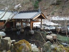 宝川温泉汪泉閣