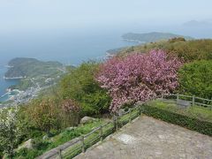 紫雲出山ハイキング