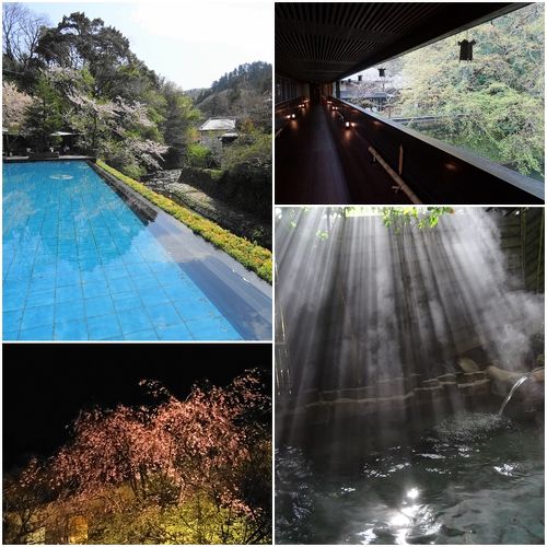 桜の季節に 中伊豆 吉奈温泉 東府やresort&spa-izu』月ヶ瀬 桜の季節に 中伊豆 吉奈温泉 東府やresort&spa-izu』月ヶ瀬