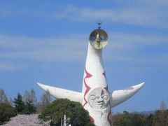 万博記念公園桜祭り