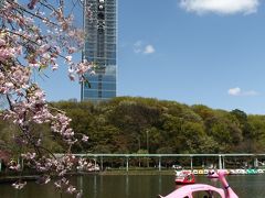 春爛漫　桜は散ってしまったけれど　東山動物園２０１５