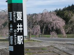 磐越東線「夏井の千本桜」を訪ねて（福島）