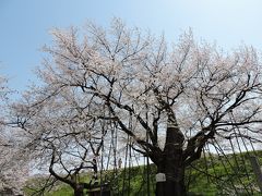 山辺・中山の旅行記