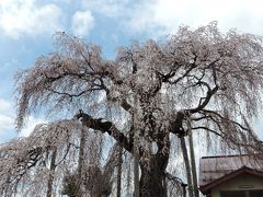 南陽・上山・白鷹の旅行記