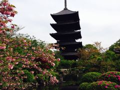 プチ京都散歩~春の特別拝観東寺と祇園~