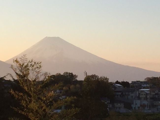 東京に近くて、静かなところということで、伊豆畑毛温泉で研修。畑毛温泉は、温泉がすばらしいこともあり、数年に一度は訪問。また旅館の料理も、新鮮な海の幸が豊富で、頭と胃袋の研修となった。翌朝は、朝食後、伊豆にらやまゴルフカントリで、プレイをし、更なる交流を深めた。1泊二日ではあるが、充実したものとなった。旅館からは、富士山がしっかり朝、夕ともに見えた。