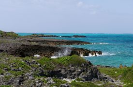 2015.3宮古島・沖縄旅行14-白鳥岬公園，フナウサギバナタ，宮古空港から那覇へ