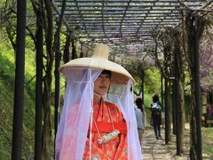 旅するイルカ♪　和歌山県　美山ふじまつりへ