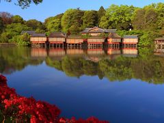 京都　花めぐり～長岡天満宮、乙訓寺、梅宮大社