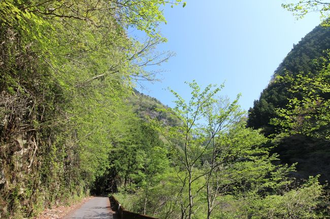 奥多摩の人気の山。川苔山に登ってきました。<br />さすが人気の山だけあって登りやすく、気持ちのよい登山でした。<br /><br />＜スケジュール＞<br />奥多摩駅7:18着→奥多摩駅バス7:25発<br />奥多摩駅からバスで15分川乗橋<br />川乗橋→1時間40分→百尋ノ滝 →2時間→ 川苔山→2時間30分→鳩ノ巣駅(約7時間）<br />