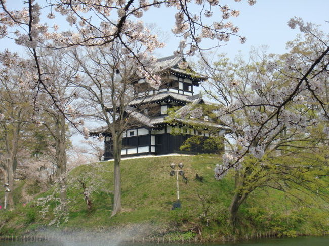 新潟市在住です。<br />近隣の桜を見比べるべく、大河津分水・上越高田公園・弥彦もみじ谷を１日で周りました。<br />当日は少し散り始めておりました。