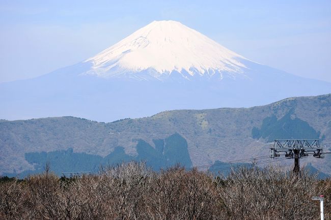 箱根関所から箱根で最も混雑する大涌谷へ車で移動しました。<br />休日なら駐車場渋滞で行くのも困難ですが、平日を狙ったので渋滞無くスムーズに到着できました。<br /><br />また、昨日5/4（月）に箱根山の火山活動が活発になっているとのNEWSで大涌谷への立ち入りが禁止となりましたが、その直前に大涌谷や黒たまごの遊歩道を散策したきわどいタイミングの旅行記です。