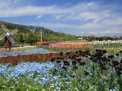 国営明石海峡公園　花博2015