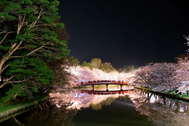 「凄い！！凄すぎる」って特にシリーズではないのですが、満開の夜桜…いや〜綺麗だった。<br />多分生まれて初めて、夜桜鑑賞しましたが、日本人に生まれてよかった〜<br />城に桜に三日月。<br />１週間前に高遠城跡では雨雨雨…<br />リベンジで臨んだ弘前城は見事な晴れ。（しっぽさ〜ん、今回は言い訳しませんよ〜(笑)）<br />まさに言い訳出来ない状況での撮影でしたが、初めて花を撮影して満足しました。<br />旅行記としては、あまり面白くもないと思いますが、夜桜と翌日朝の桜をご堪能ください。<br />予めお断りですが、ほとんどの写真がさくらと桜とサクラで構成されています。<br />途中飽きてしまうかもしれませんがお付き合いください。