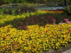 なばなの里のお花紹介