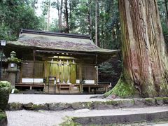 杉の巨木が聳え立ち龍が棲む洞窟が御神体の室生龍穴神社参拝