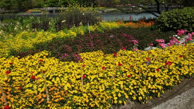 なばなの里を入って、次々と目に入るお花を紹介します。<br /><br />お花と、温室と、温泉と、イルミネーション、みなおススメです。<br /><br />お土産にお花の苗が盛りだくさん。