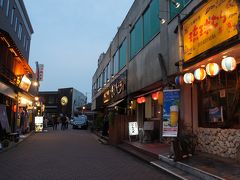 ヒルトン成田に前泊するついでに、成田山観光と、「さくらの山」で飛行機鑑賞、成田駅周辺の居酒屋と立ち飲みで飲んできました
