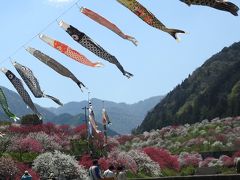 花桃の里in月川温泉へ日帰り旅