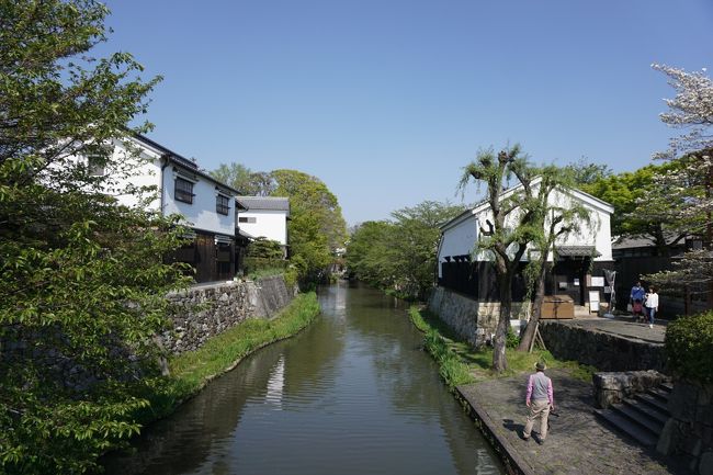 春爛漫のこの日、悪友と誘い合わせの上、行ってきました近江八幡へ。<br /><br />①名古屋市内で朝食<br />②三重県内で２度目の朝食(←おいおい)<br />③パラミタミュージアムで葛飾北斎展を満喫<br />④鈴鹿峠を超えて商人の町、近江八幡へ(昼食&amp;街歩き)<br />⑤大垣でつけ麺&amp;たこ焼き<br /><br />この日の歩行数は9041歩、消費カロリーは231Kcalと少な目でした^^;<br />飲んで食べて、また食べて…<br />な一日なのに、これじゃあきまへん。<br /><br />あー。この日もお友達に甘えて、運転をずずっとして頂いちゃいました。<br />あ～れ～。ごめんなさい～。<br />ちゃんとおごりましたけど(←言い訳にならない言い訳)