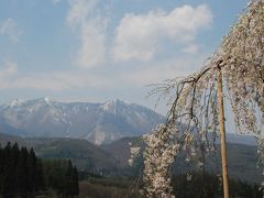 牟礼の里山を歩く花旅（長野）