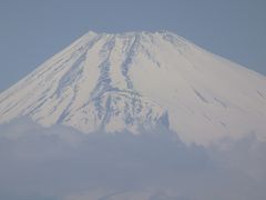 2015年3月、伊豆旅行（干物の次は、ミカンと富士山）