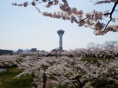 青森・北海道２０１４ＧＷ旅行記　【２】函館１（五稜郭）