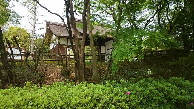 大府市の大倉公園のツツジの満開は、まだまだ先のようです。<br /><br />市内の道路周辺のツツジの多くは咲いていますが、大倉公園では公園入り口前のツツジを撮影している状況です。<br /><br />暖かくなり、園内でかなり大きい毒蛇のマムシを見つけました。<br /><br />散策される方は充分に注意して下さい。<br /><br /><br />大倉公園 ? 大府市観光協会<br />http://www.obu-kankou.gr.jp/240/%E5%A4%A7%E5%80%89%E5%85%AC%E5%9C%92