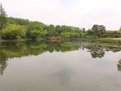 昭和の日を昭和記念公園で花鑑賞
