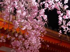 桜咲く春の京都へ1泊2日～2015.4.9-10③～