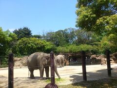 上野公園周辺（２）東京都美術館など