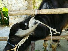 夫婦旅行】沖縄２nd☆２日目～本島