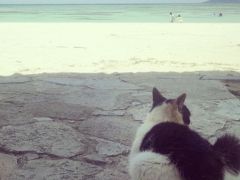 初めての石垣島～のんびりひとり暮旅～３